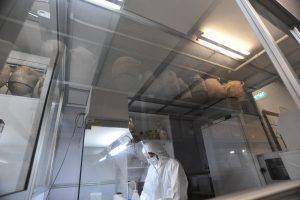 Dr. Merav Meiri, Curator of the Archaeobiology (ancient DNA) Collection