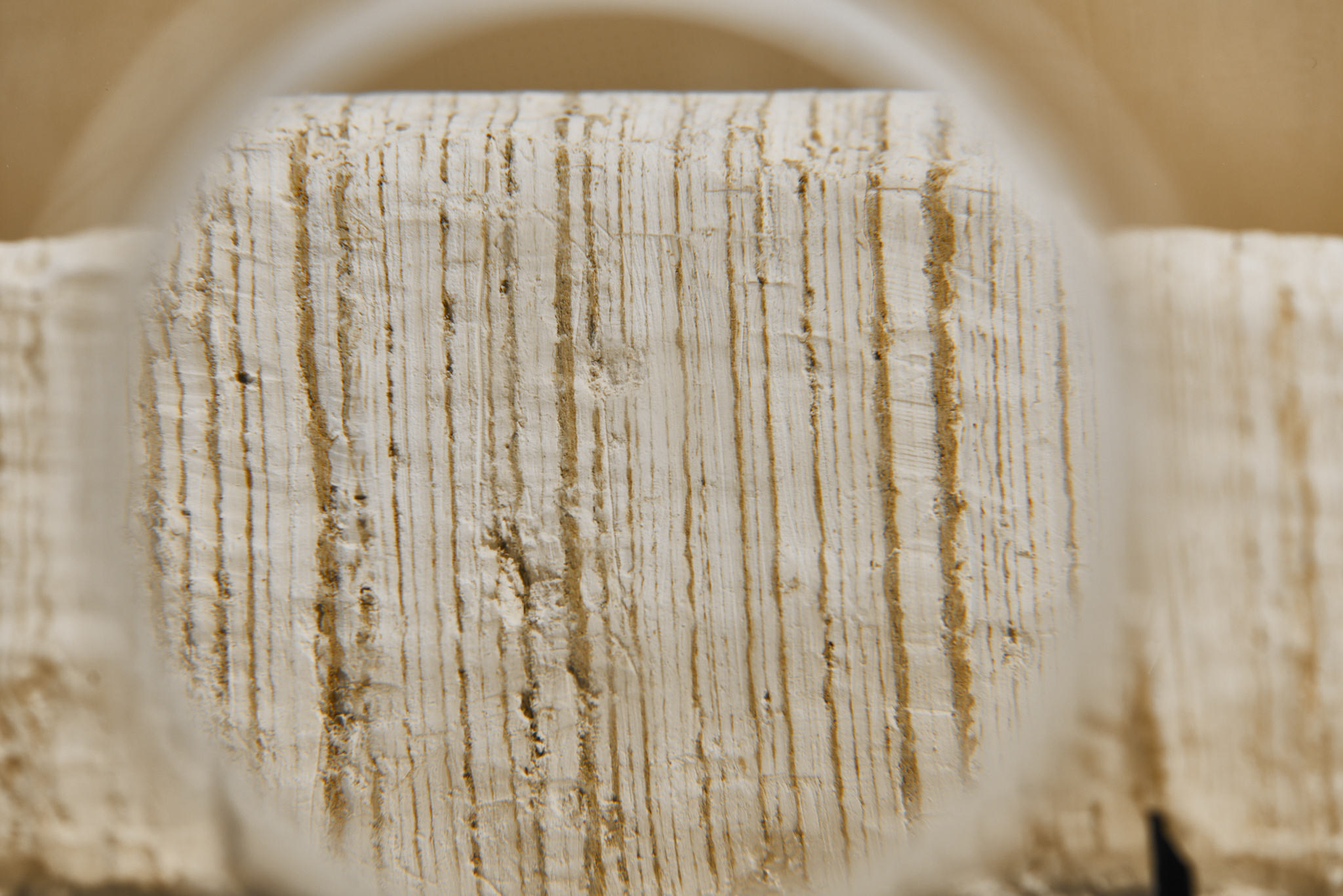 Layers in the drill core from Lake Lisan
