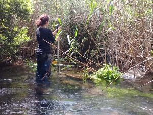 Adi Weiss, lab technician, National Center for Aquatic Ecology