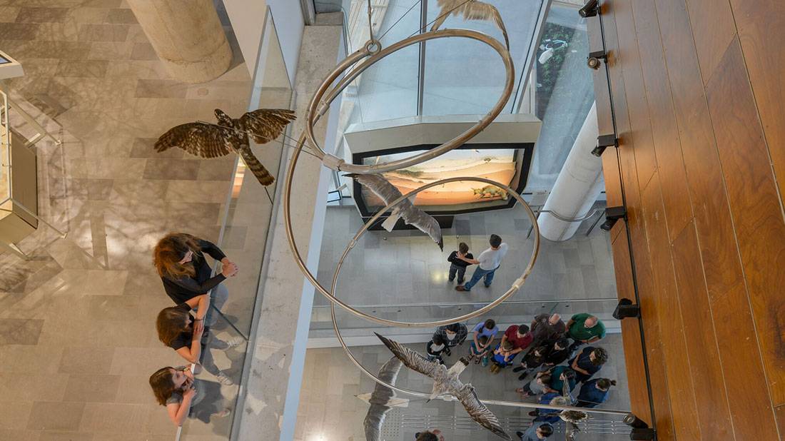 סיורים במוזיאון הטבע