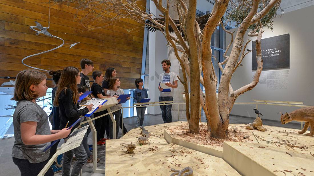 סיורי כיתות במוזיאון הטבע בתל אביב
