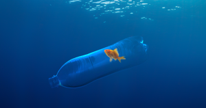 דג זהב בתוך בקבוק פלסטיק שצף בים