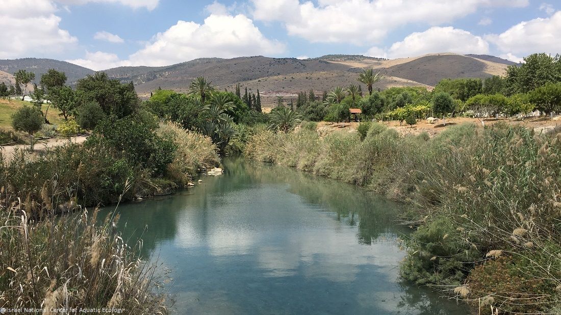 מצב הנחלים בישראל
