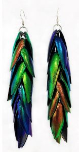 Jewel beetle earrings. Private collection