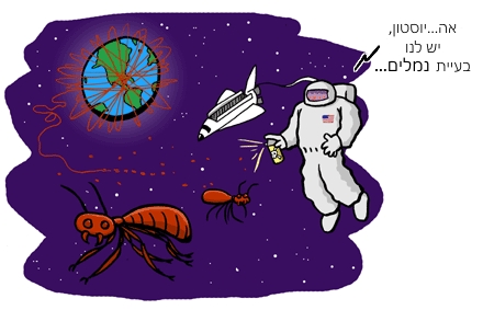 קריקטורה: נמלים הגיעו לחלל