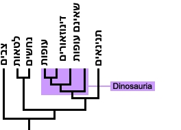 עץ פילוגנטי. בעץ ניתן לראות בבירור שעופות הם למעשה חלק מקבוצת הדינוזאורים (הקלייד Dinosauria). 