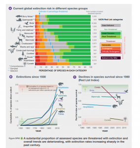 הכחדת מינים, דו"ח האום, מקור: https://ipbes.net/sites/default/files/2020-02/ipbes_global_assessment_report_summary_for_policymakers_en.pdf