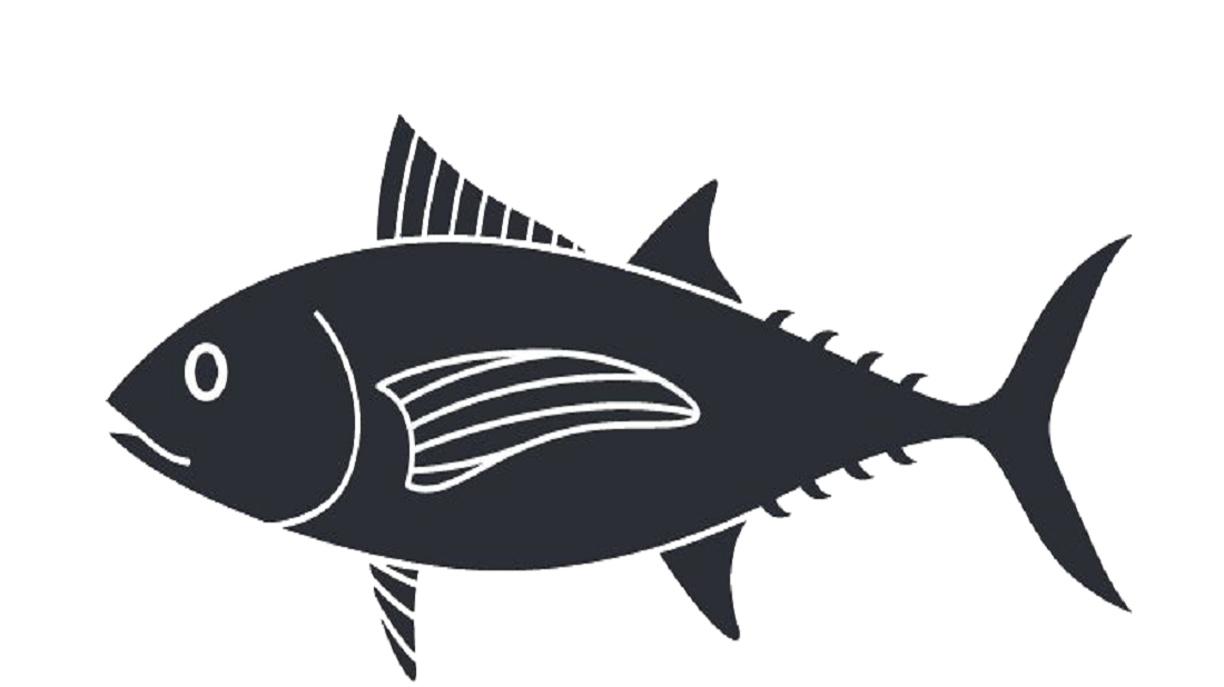 דג טונה איור