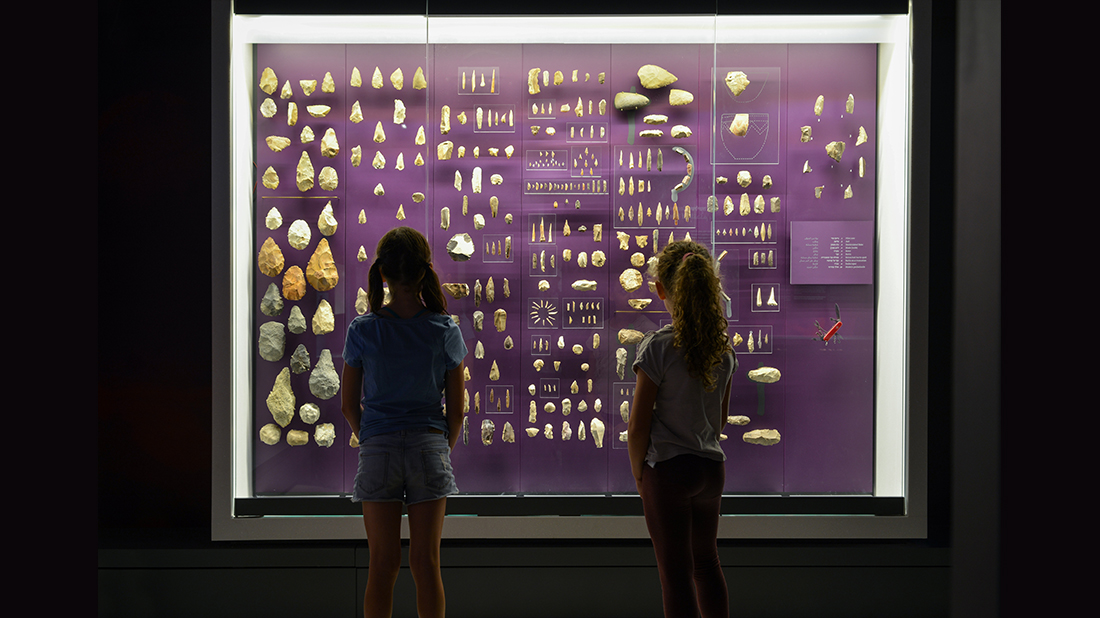 נערות מבקרות במוזיאון הטבע בתל אביב