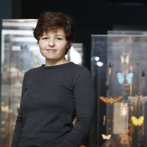 ליז מורגוליס, מנהלת באוסף הזבובאים ואחראית על גידול פרוקי רגליים חיים