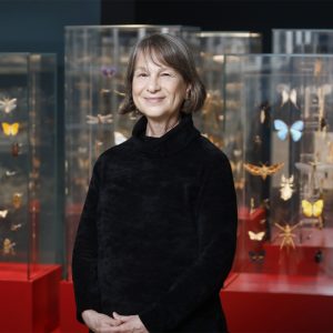 Prof. Tamar Dayan, Chairperson of the Museum. 