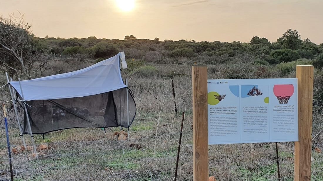 מלכודת מלייז ברמת הנדיב. צילום יעל נבון