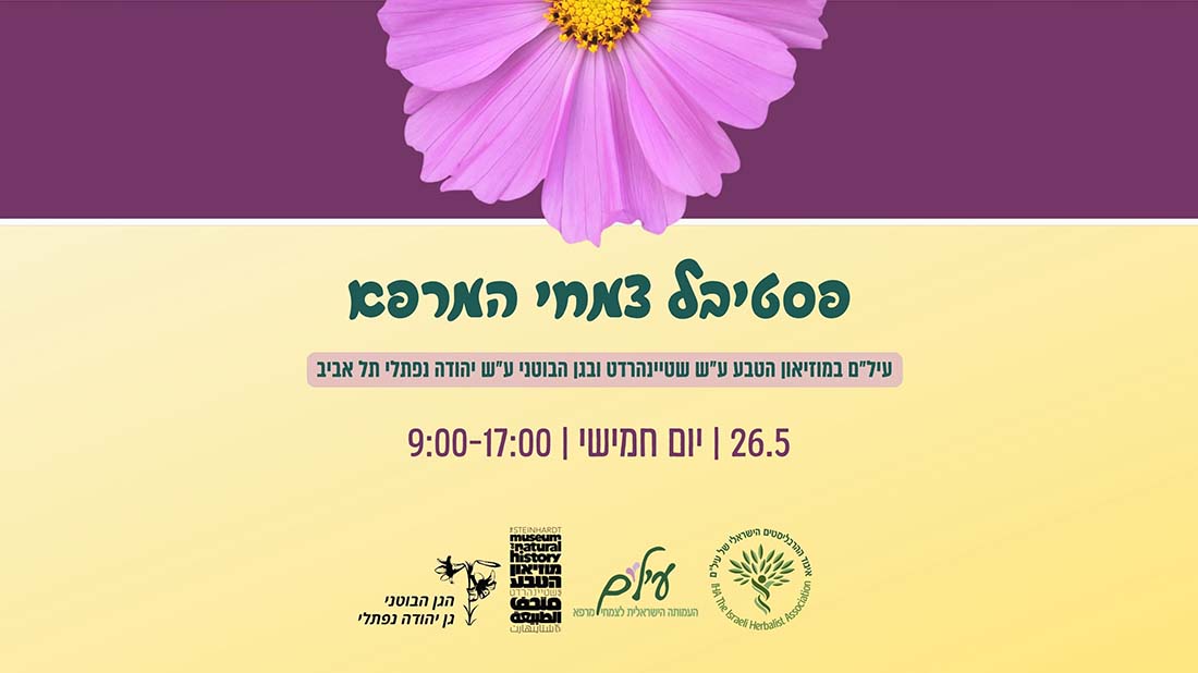 באנר פסטיבל צמחי מרפא