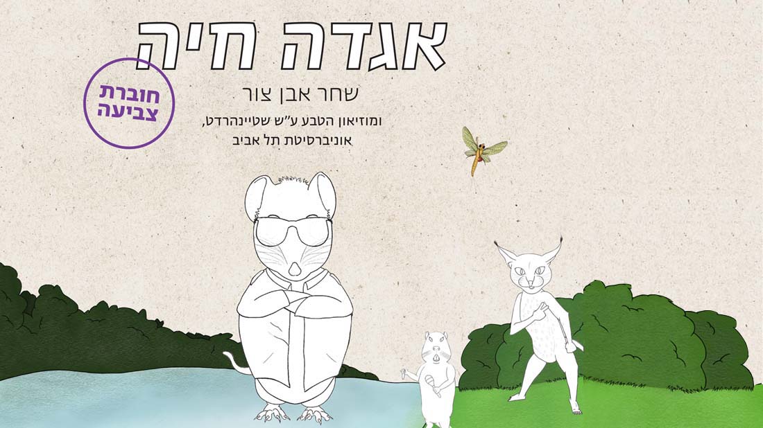 אגדה חוברת צביעה