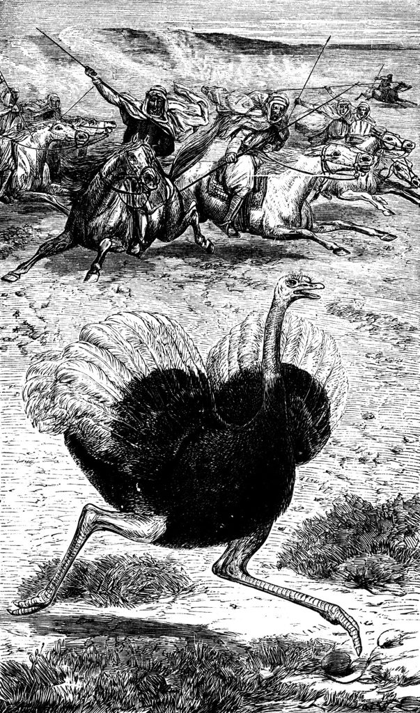 ציד יענים היה נפוץ במזרח התיכון במאה ה-19, כפי שתואר בספר Bible Animals מאת Wood, שיצא לאור בשנת 1877