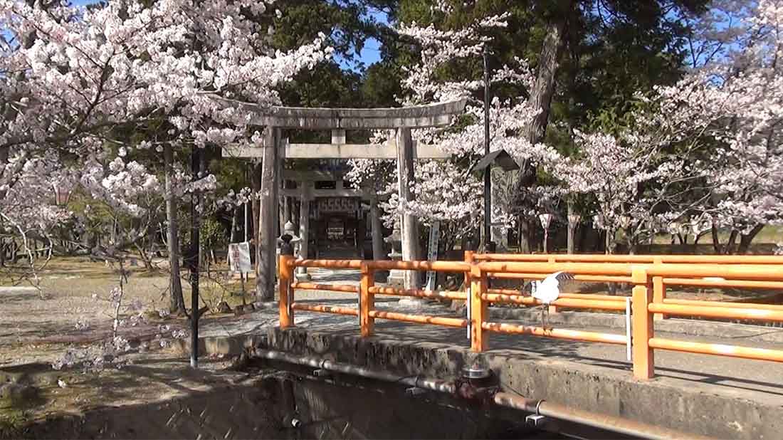 תפיסת הטבע ושמירת טבע ביפן - תמונה ראשית