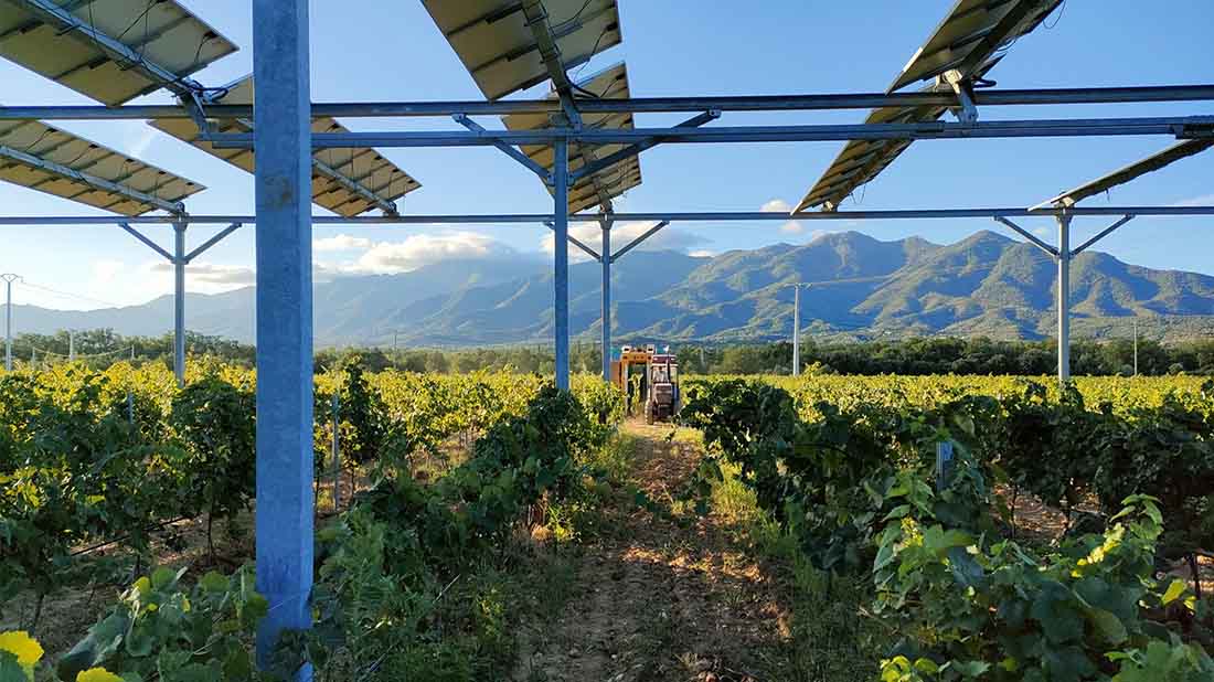 דו-שימוש בחקלאות: פאנלים סולאריים לייצור חשמל, מערכת אגרוולטאית מעל כרם. Sun’Agri, France