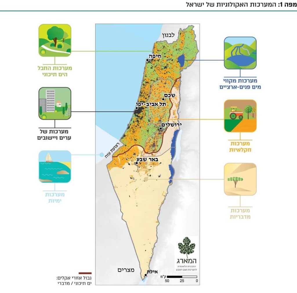 המערכות האקולוגיות של ישראל. איור: המארג