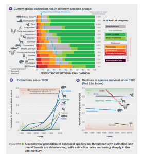 הכחדת מינים, דו"ח האום, מקור: https://ipbes.net/sites/default/files/2020-02/ipbes_global_assessment_report_summary_for_policymakers_en.pdf הכחדת מינים, דו"ח האום, מקור: https://ipbes.net/sites/default/files/2020-02/ipbes_global_assessment_report_summary_for_policymakers_en.pdf