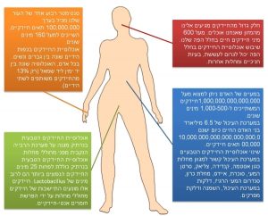 המגוון הביולוגי ואנחנו - מוזיאון הטבע ע"ש שטיינהרדט המגוון הביולוגי ואנחנו - מוזיאון הטבע ע"ש שטיינהרדט