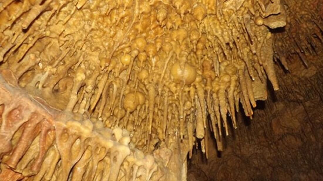 נטיפים במערת צלמון. המערה סגורה למבקרים, לצורכי מחקר ושמירת טבע. צילום: עמית דולב