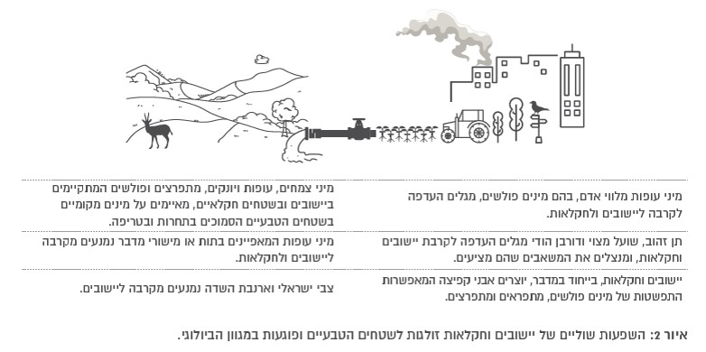 מתוך: דו"ח מצב הטבע 2023 – כרך המגוון הביולוגי, המארג