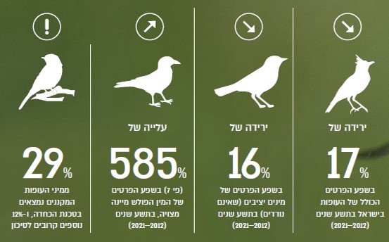 עופות - ממצאים מרכזיים לתקופת הניטור 2012 – 2021. מתוך: דו"ח מצב הטבע 2023 – כרך המגוון הביולוגי, המארג