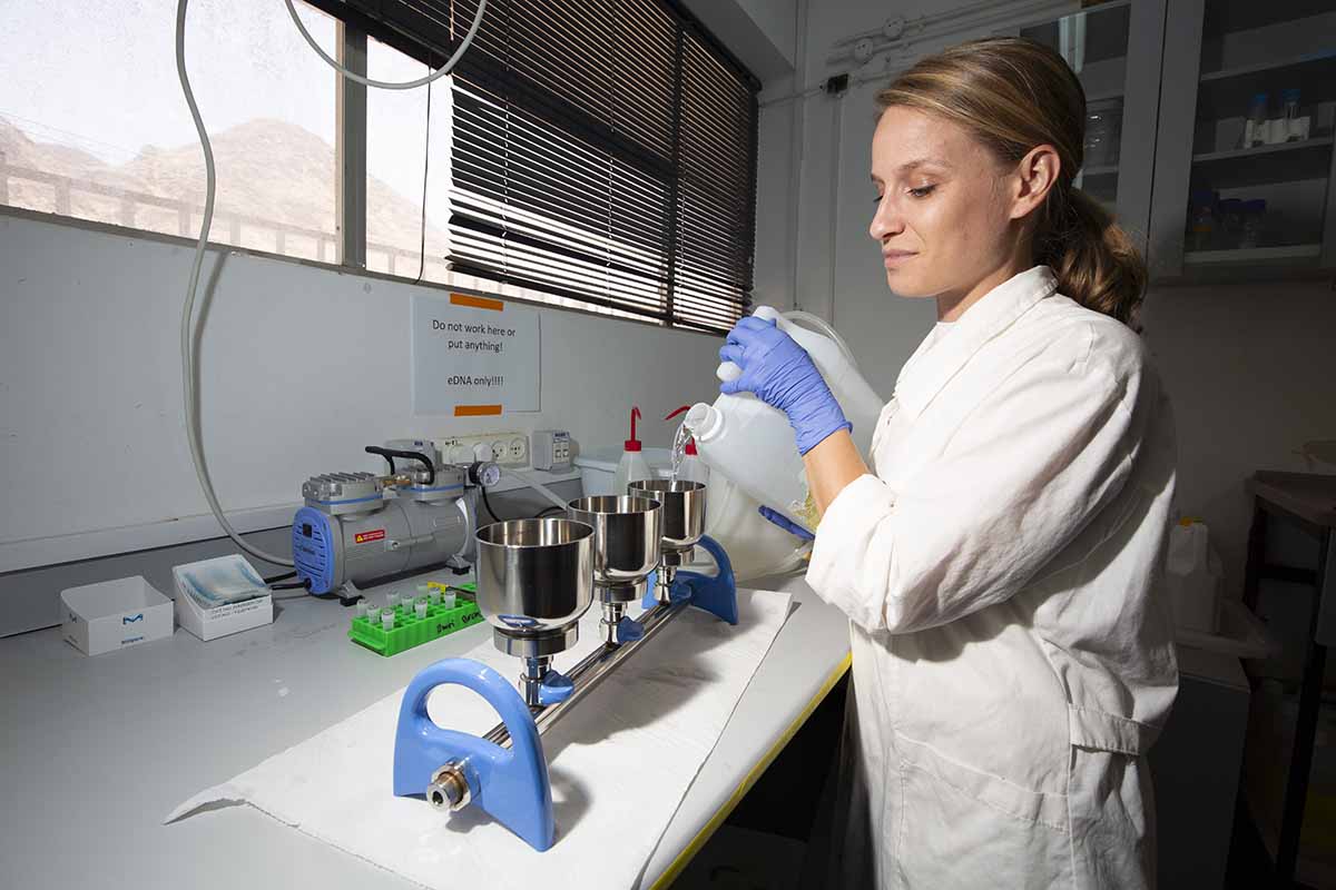 ליסה-מריה שמידט במעבדה. טיפול בDNA סביבתי. צילום: ג'ק סטאוט