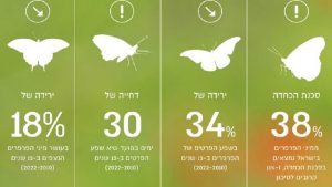 ממצאים מרכזיים של ניטור פרפרי ישראל דו"ח מצב הטבע 2023- כרך המגוון הביולוגי, המארג