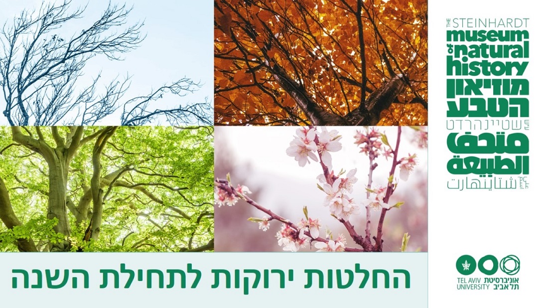 החלטות ירוקות לתחילת השנה