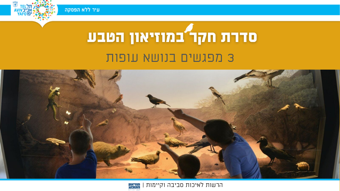 סדרת חקר להורים וילדים