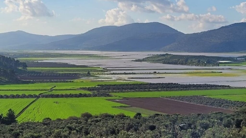 קרקע פוריה ובריאה תומכת בחקלאות. צילום: מרגרטה וולצ'וק