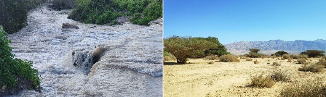 מימין- מלחת עברונה שבערבה הדרומית. צילום: רייל הורביץ; משמאל- שטפון בנחל השופט. צילום: ג'ומאנה באריה