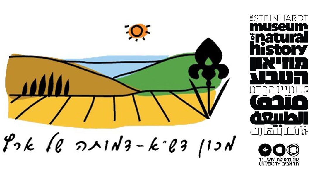 מכון דש