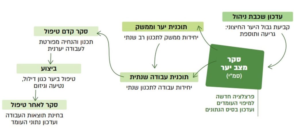 מקומו של סקר מצב היער בשלבי התכנון והניהול של היער_מתוך מדריך מיפוי היער בישראל