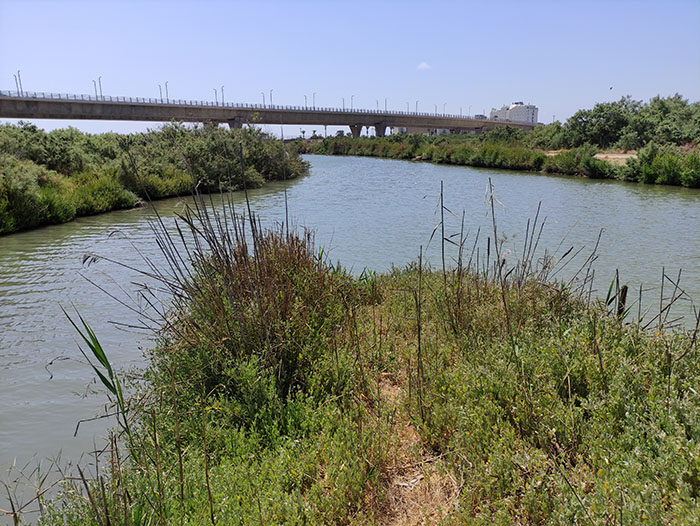 נקודת המפגש של שני נחלים: נחל חילזון ונחל נעמן. צילום: אורי רמון.