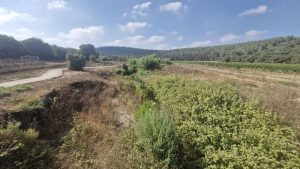 מקטע שמשית בנחל צפורי: פסיפס של שטחים חקלאיים, שביל מטיילים ושיקום אקולוגי. צילום: אביב אבישר