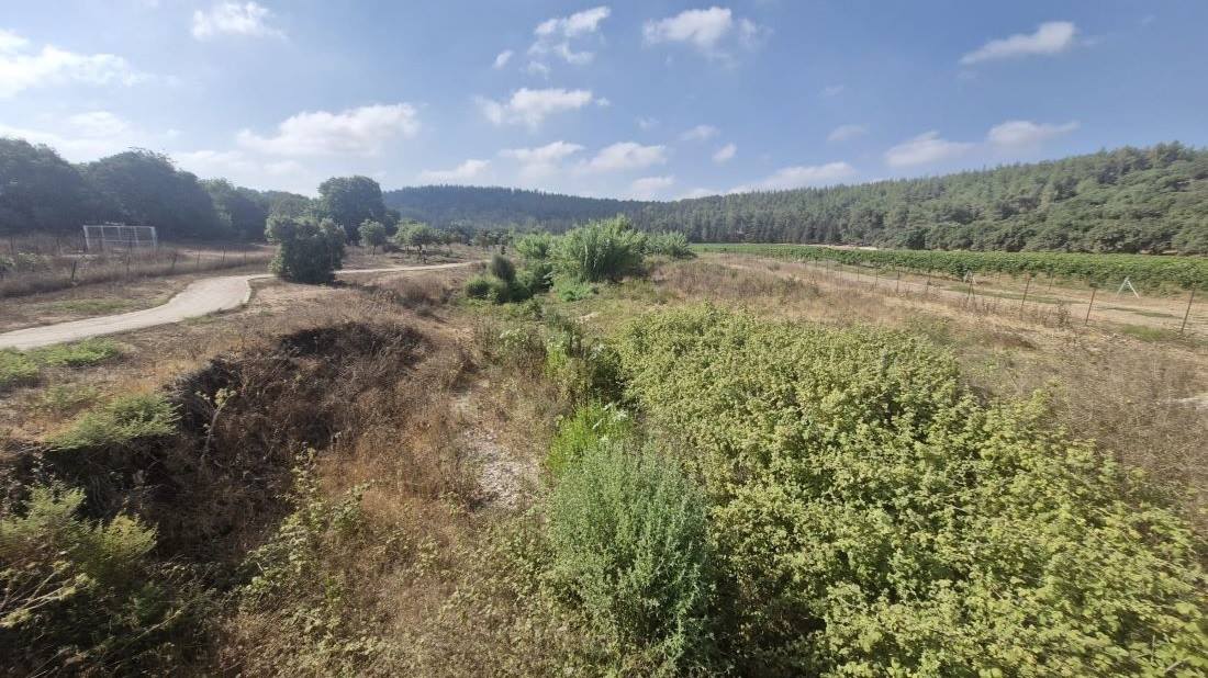 מקטע שמשית בנחל צפורי: פסיפס של שטחים חקלאיים, שביל מטיילים ושיקום אקולוגי. צילום: אביב אבישר