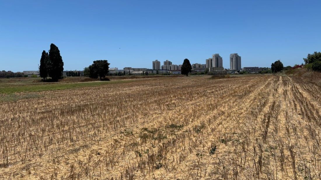 שינוי האקלים מציב בפני החקלאות אתגרים רבים. צילום: שילה פורמן