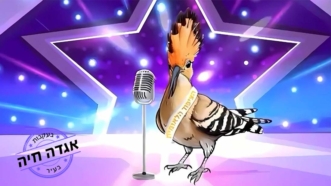 בעקבות אגדה חיה בעיר - דוכיפת