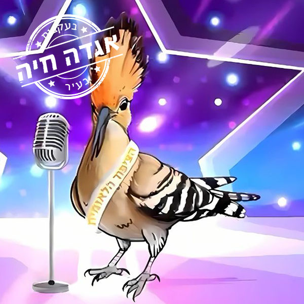 בעקבות אגדה חיה בעיר - דוכיפת