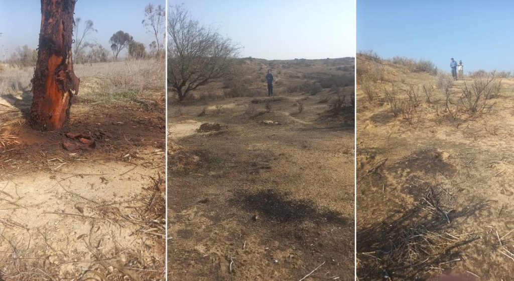 שרפה בעוצמה גבוהה משאירה חותם משמעותי בשטח; הבשור, נגב מערבי. צילום: עדי רמות