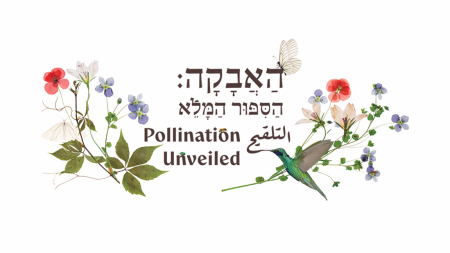לוגו התערוכה