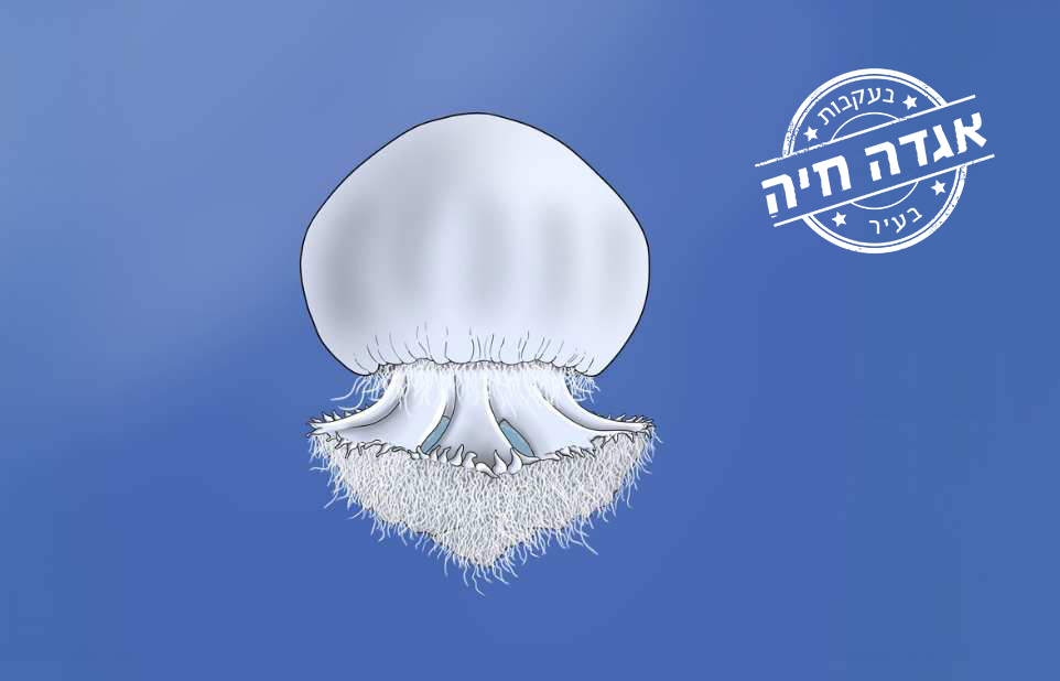 בעקבות אגדה חיה בעיר (מגיל 4, כולל כניסה למוזיאון)