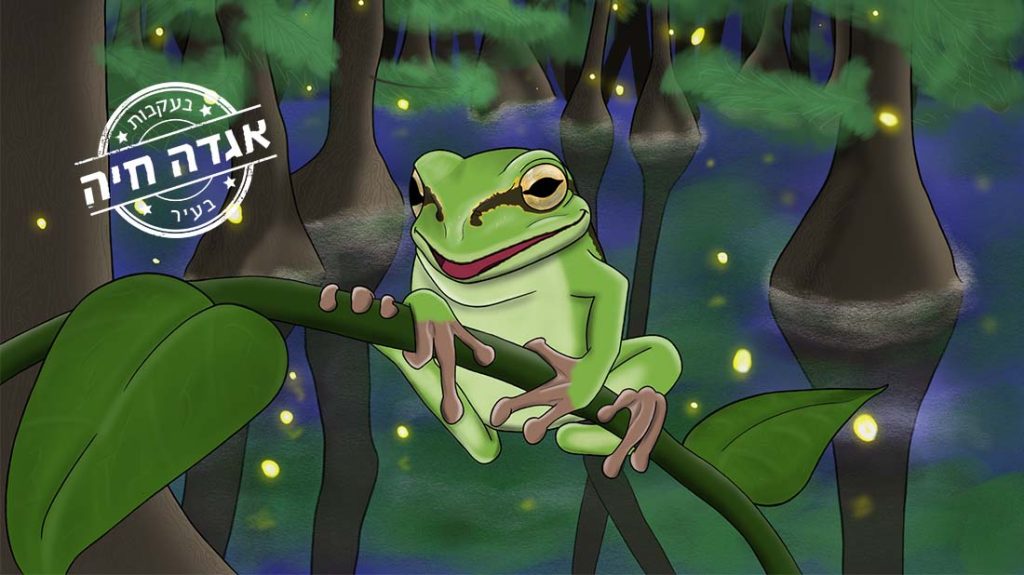 בעקבות אגדה חיה בעיר - האילנית. סדנה לקטנטנים