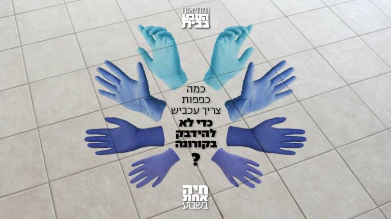הטבע בבית: עכבישים