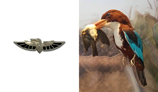המצעד הצבאי של בעלי החיים בסמלי היחידות