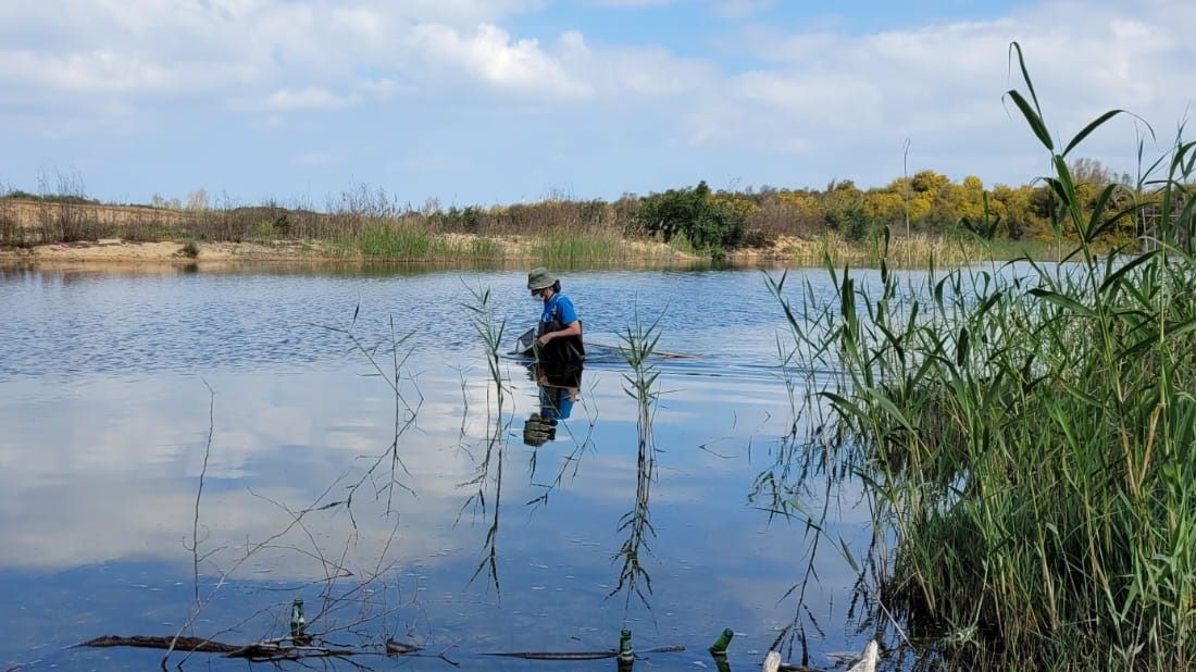דיגום חסרי חוליות בנחל שקמה. צילום: צוות המלא"ק