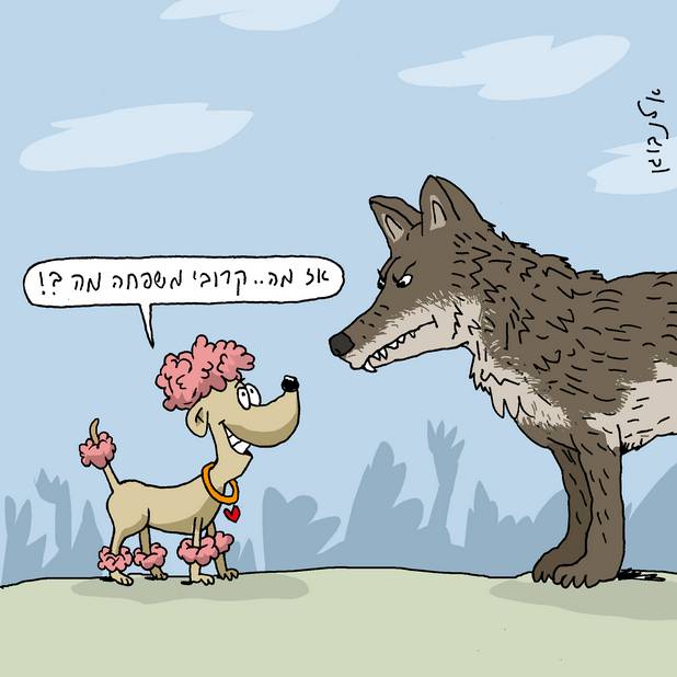 חמישה דברים שלא ידעתם על כלב הבית