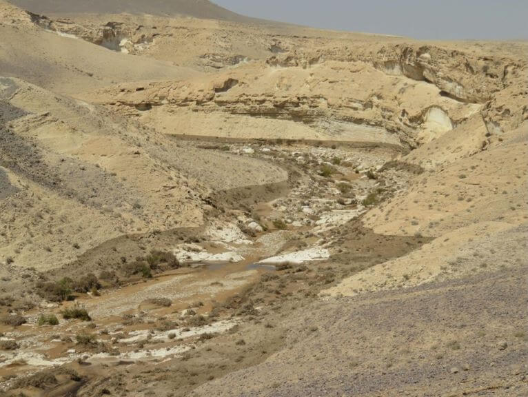 מקטע בנחל אשלים לאחר הזיהום במי שפכים תעשייתיים חומציים. צילום: רשות הטבע והגנים